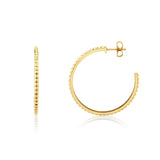 Foundation Hoop Earrings