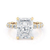 Crown R782-3 Radiant