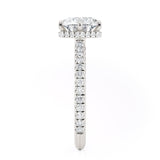 Crown R789-2