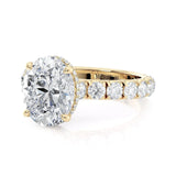 Crown R793-3-OV