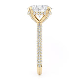 Crown R796-3