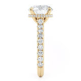 Crown R799-3