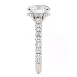 Crown R799-3