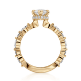 Montage R802-3 Marquise