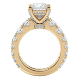 Montage R813-3 Princess