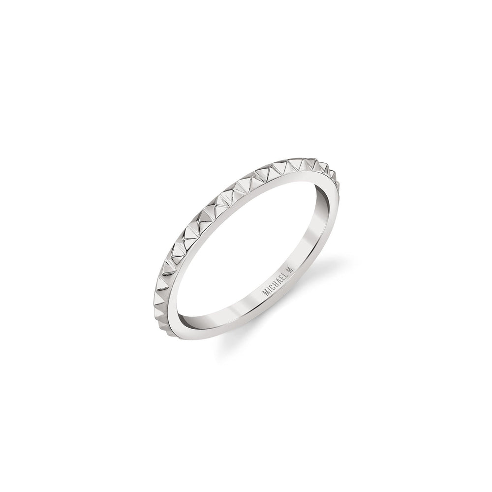Silver Tetra Band