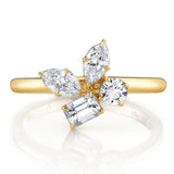 Montage Cluster Ring