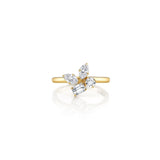 Montage Cluster Ring
